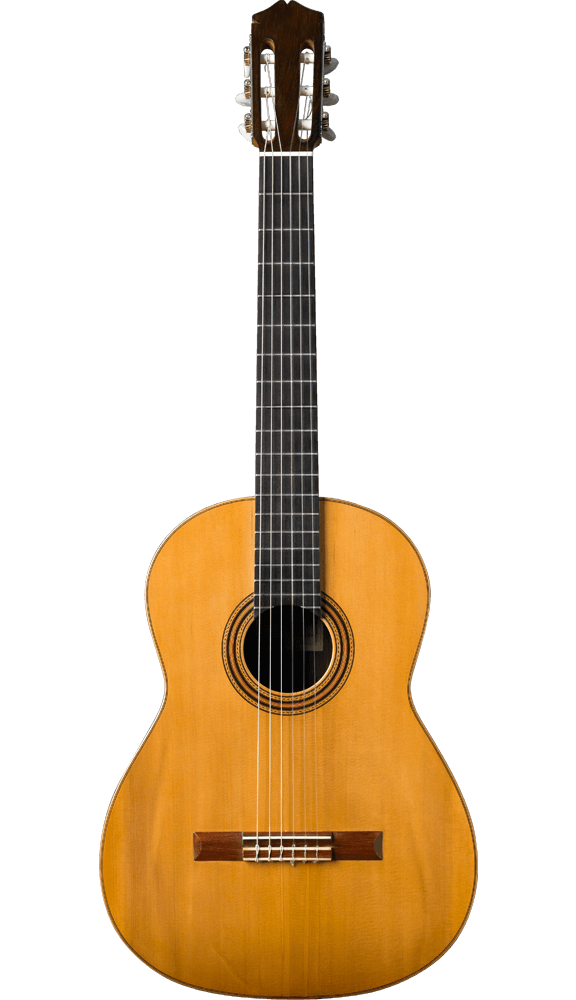 Guitarra lista para una clase personalizada en 321 Toca